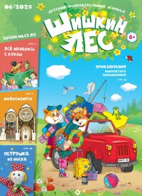 06 — 234 — июнь — 2025.