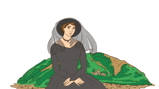 История гения